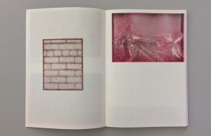 Sabrina Fritsch 1 von 100 artist book Strzelecki Books